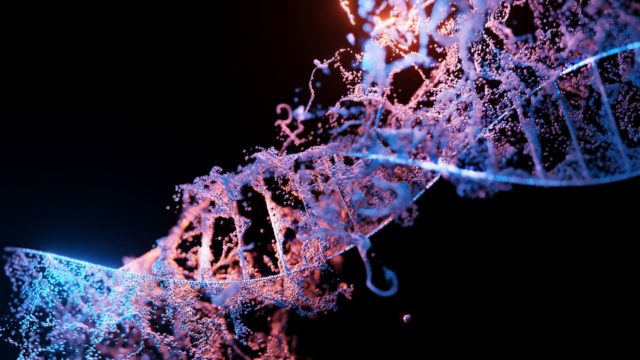 A tervrajz nélküli örökítőanyag – RNS-alapú módszer a rákdiagnosztikában