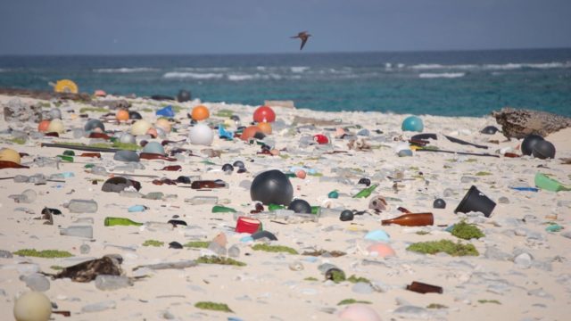 A műanyagprobléma megoldása – a műanyagok? – A biodegradábilis polimerek helyzete napjainkban